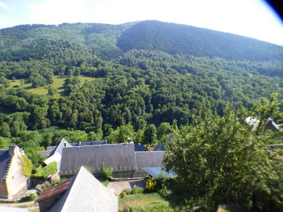 Maison Familiale Pour 8 Saint-Aventin Exteriör bild
